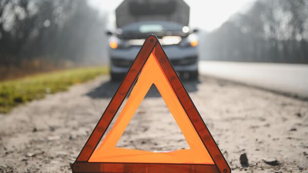 Дорожный знак аварийной остановки, архивное фото - Sputnik Литва