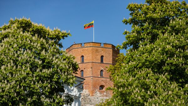 Башня Гедиминаса в Вильнюсе, архивное фото - Sputnik Литва