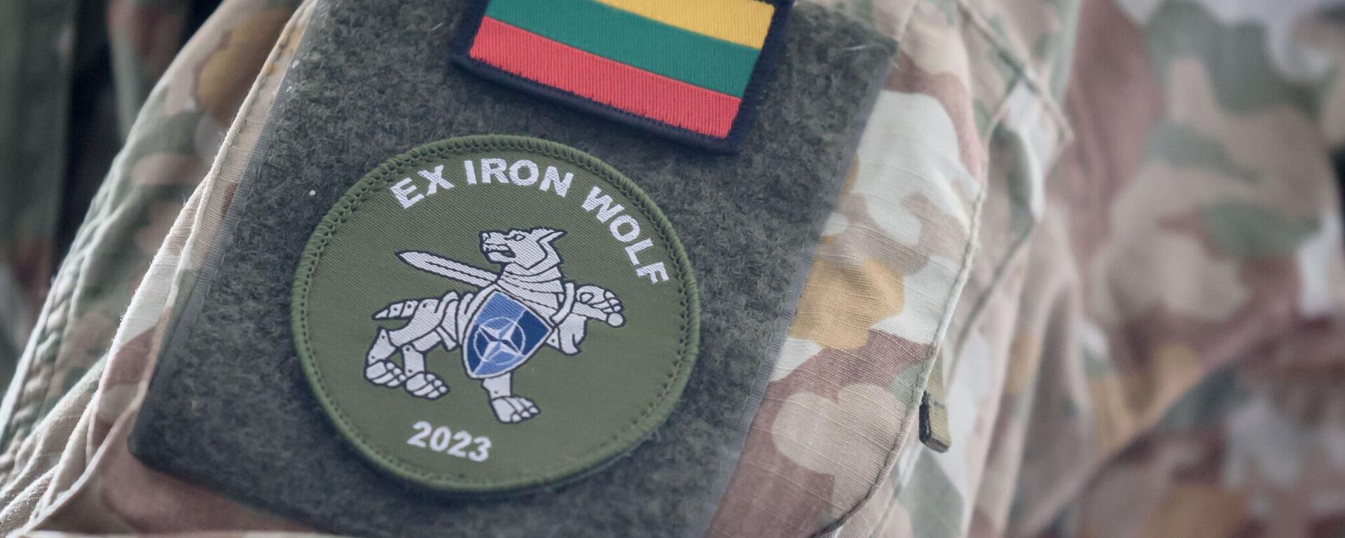 Литовская армия, архивное фото - Sputnik Литва, 1920, 03.08.2025