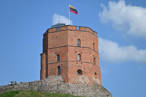 В Вильнюсе в среду, 24 мая, у подножья башни Гедиминаса, рядом с Национальным музеем Литвы группа энтузиастов представила блюда по рецептам 200-летней давности. - Sputnik Литва
