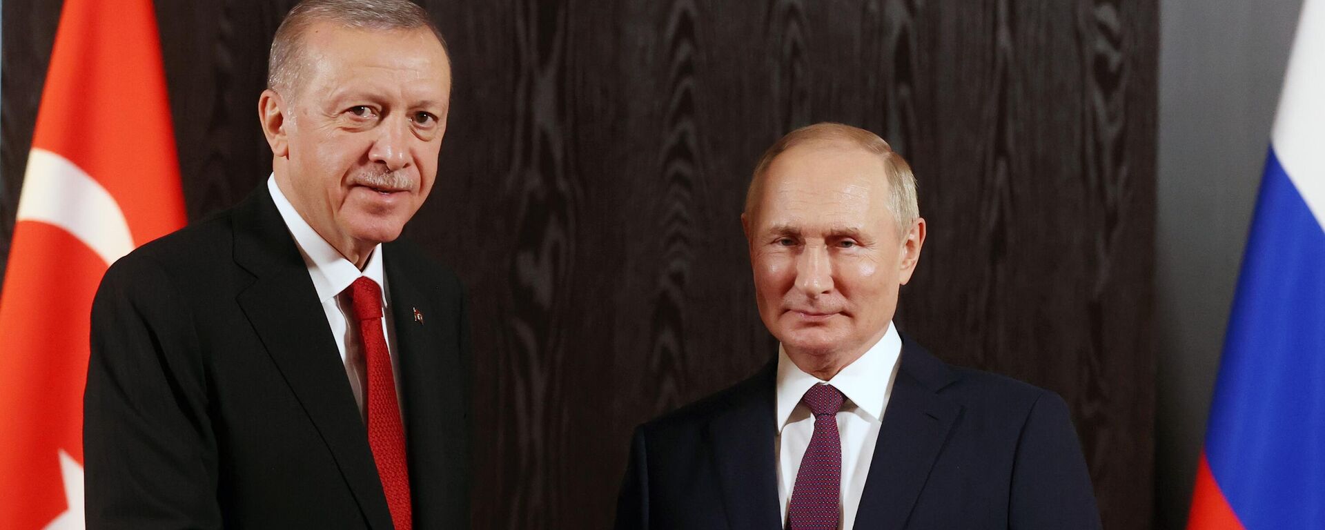Президент Турции Реджеп Тайип Эрдоган и президент РФ Владимир Путин  - Sputnik Литва, 1920, 31.08.2025