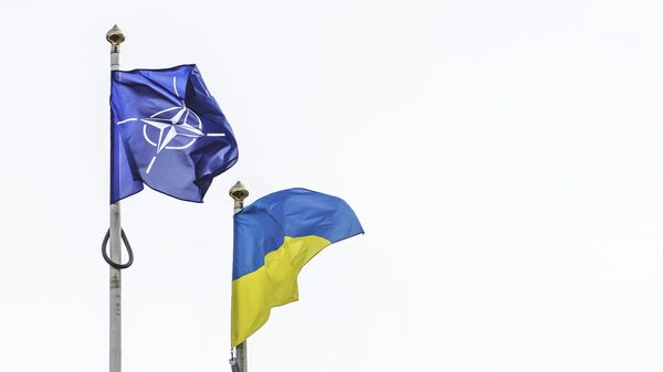 Флаг НАТО и Украины - Sputnik Литва