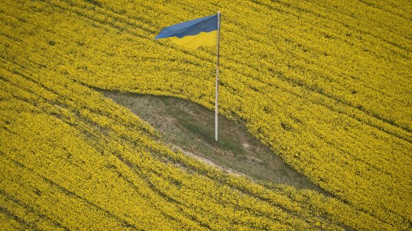 Украинский национальный флаг посреди цветущего поля, архивное фото - Sputnik Литва