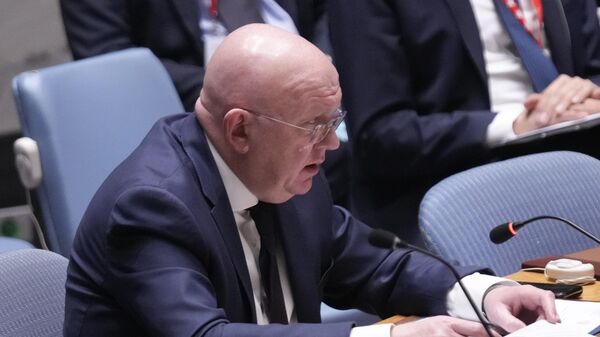 Постоянный представитель России при Организации Объединенных Наций Василий Небензя, архивное фото - Sputnik Литва