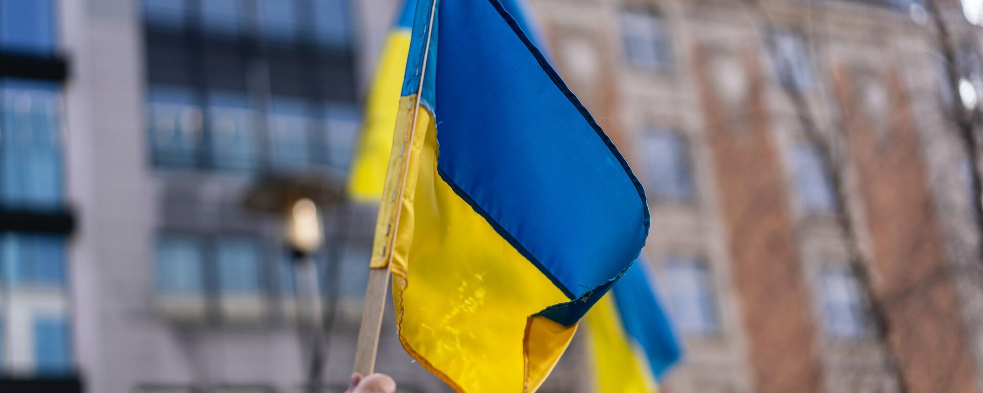 Рука с флагом Украины, архивное фото Рука с флагом Украины, архивное фото - Sputnik Литва, 1920, 16.08.2025