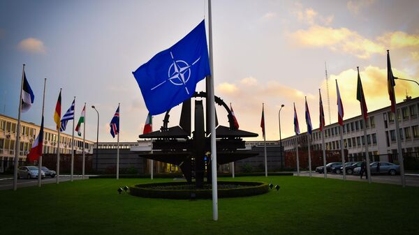 Флаги НАТО и стран участниц НАТО , архивное фото - Sputnik Литва