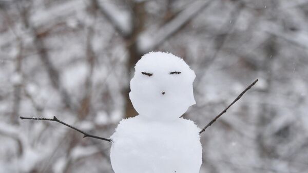 Снеговик, архивное фото - Sputnik Литва