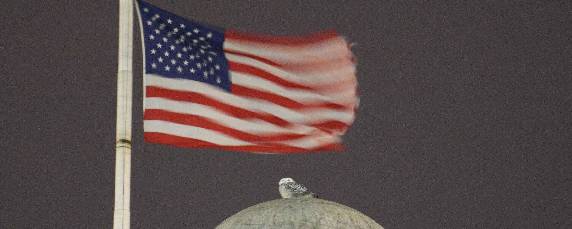 Флаг США, архивное фото - Sputnik Литва, 1920, 30.01.2026