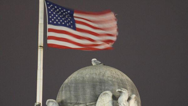 Флаг США, архивное фото - Sputnik Литва