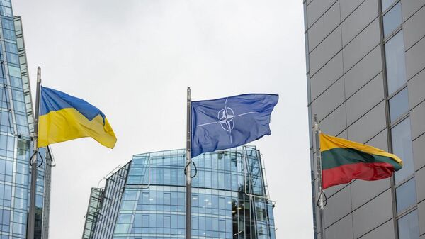Флаги Украины, НАТО и Литвы, архивное фото - Sputnik Литва