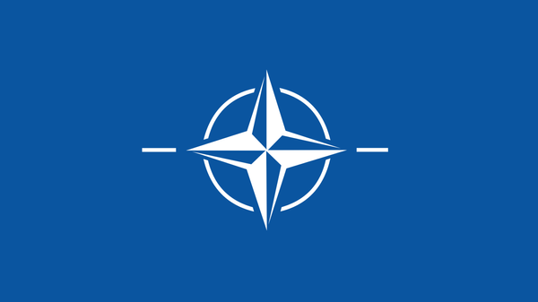Саммит НАТО в Вильнюсе 11-12 июля - Sputnik Литва