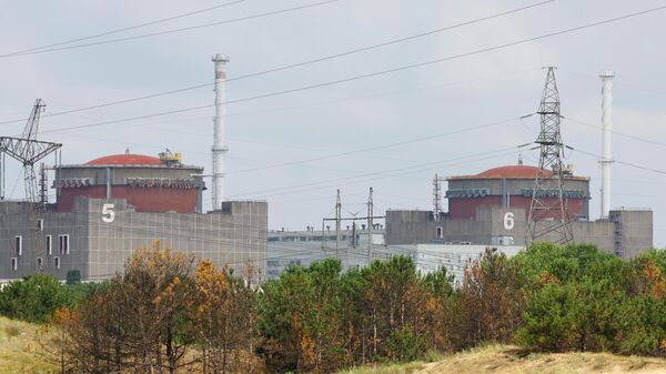Запорожская АЭС, архивное фото - Sputnik Литва