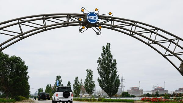 Делегация МАГАТЭ посетила ЗАЭС - Sputnik Литва