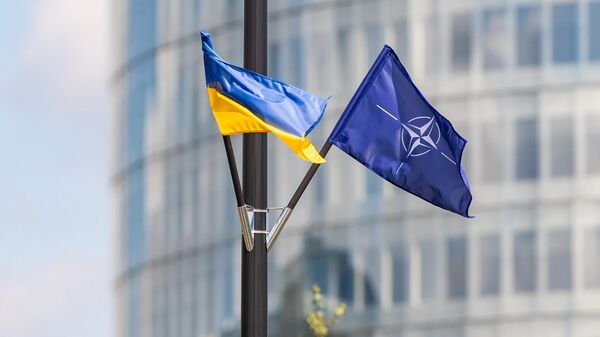 Флаг Украины и НАТО, архивное фото - Sputnik Литва