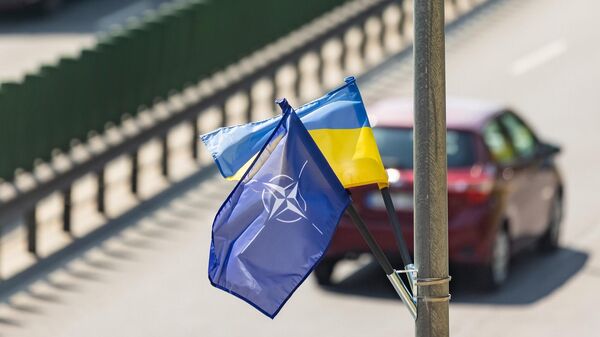 Флаги НАТО и Украины, архивное фото - Sputnik Литва