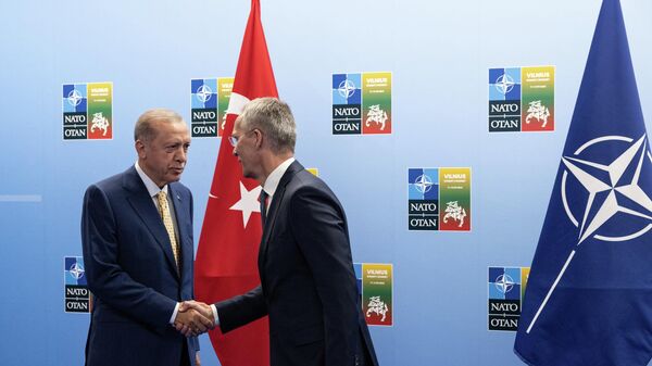 Генеральный секретарь НАТО Йенс Столтенберг приветствует президента Турции Реджепа Тайипа Эрдогана во время прибытия на саммит НАТО в Вильнюсе - Sputnik Литва