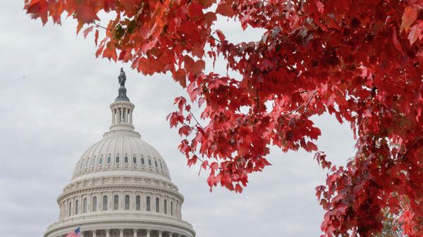 Деревья в осеннем убранстве на фоне Капитолия в Вашингтоне, архивное фото - Sputnik Литва