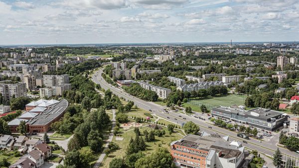 Вид Алитуса, архивное фото - Sputnik Литва