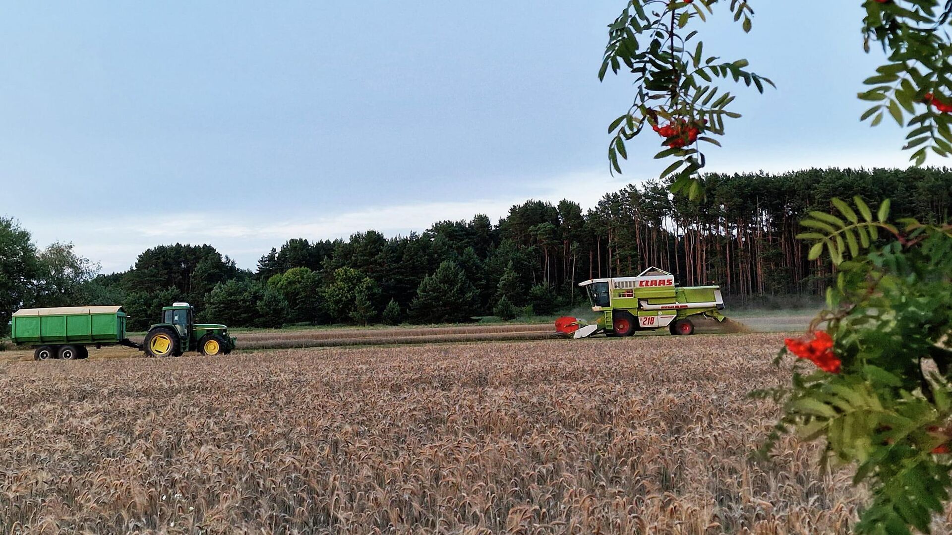Сельскохозяйственная техника в поле, архивное фото - Sputnik Литва, 1920, 30.04.2026