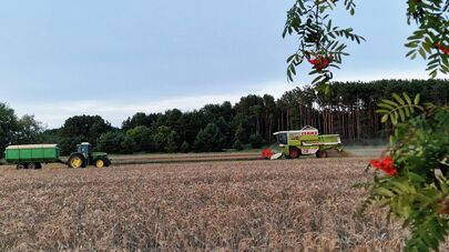 Сельскохозяйственная техника в поле, архивное фото