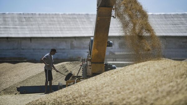 Перевалка зерна на зерновом терминале, архивное фото - Sputnik Литва