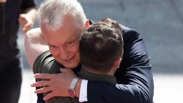 Президент Литвы Гитанас Науседа и президент Украины Владимир Зеленский - Sputnik Литва