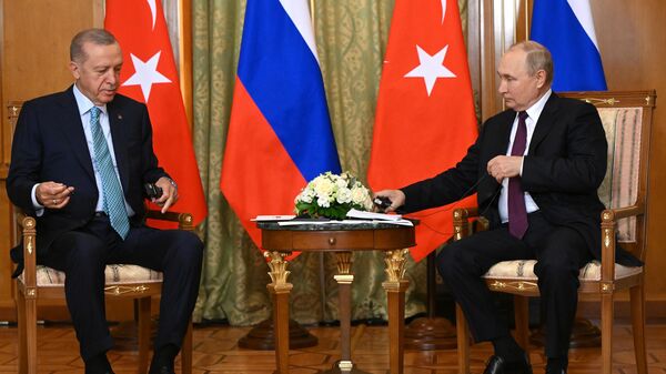 Президент РФ Владимир Путин провел переговоры с президентом Турции Реджепом Тайипом Эрдоганом - Sputnik Литва