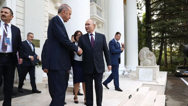 Президент РФ Владимир Путин провел переговоры с президентом Турции Реджепом Тайипом Эрдоганом - Sputnik Литва