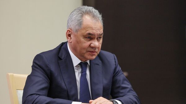 Министр обороны РФ Сергей Шойгу - Sputnik Литва