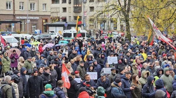 Митинг против налога на недвижимость напротив здания Сейма в Литве - Sputnik Литва