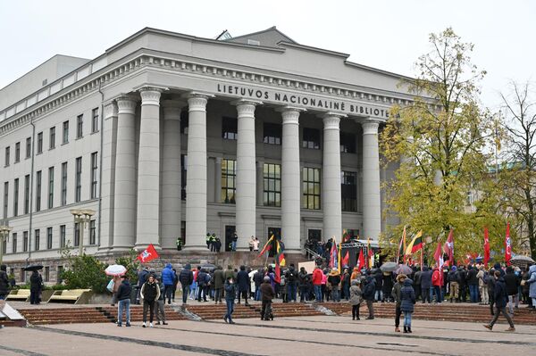В Вильнюсе напротив здания Сейма прошел протест против введения всеобщего налога на имущество. - Sputnik Литва