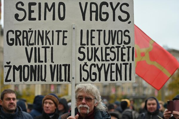 Надпись на плакате: &quot;Воры Сейма, верните надежду Литвы процветать, надежду людей выжить&quot;. - Sputnik Литва
