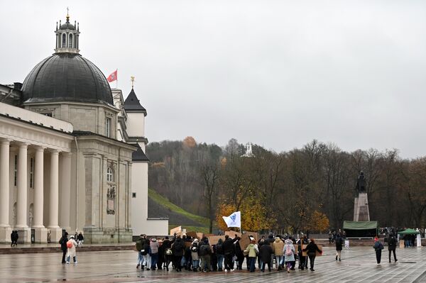 Шумная колонна начала шествие от здания вильнюсской ратуши и дошла до Кафедральной площади. - Sputnik Литва