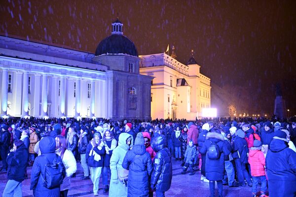 Традиционно у елки состоялся концерт, и горожане и гости столицы еще долго гуляли по заснеженной столице. - Sputnik Литва
