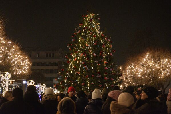 В этом году Ратушную площадь Алитуса украсила натуральная елка, которую городу подарил местный житель. - Sputnik Литва