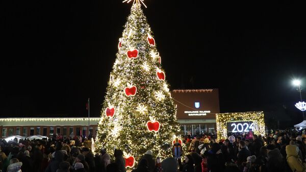 Новогодняя елка в Игналине  - Sputnik Литва