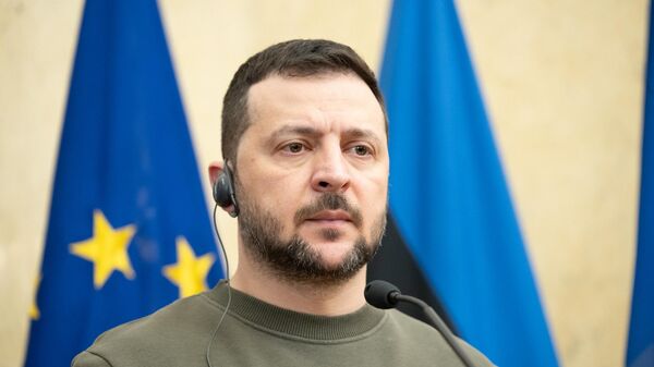 Президент Украины Владимир Зеленский - Sputnik Литва