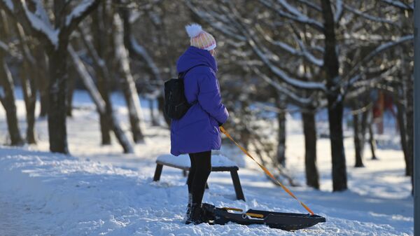 Жительница Вильнюса на прогулке, архивное фото - Sputnik Литва