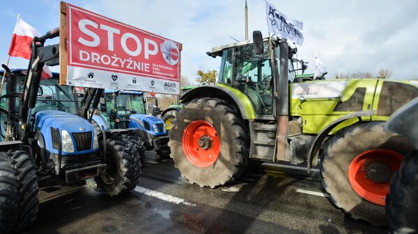 Протесты фермеров в Польше, архивное фото - Sputnik Литва