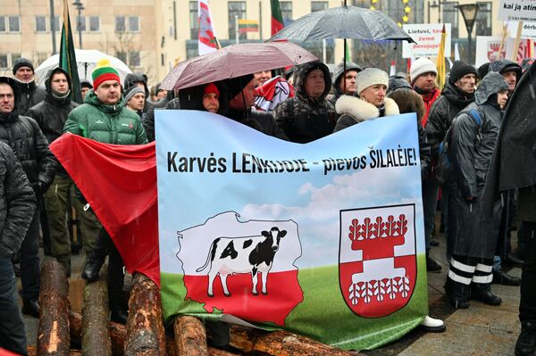 Также протестующие требуют решить молочный кризис. По их мнению, нужно, чтобы закупочная цена молока не была ниже себестоимости. После резкого падения закупочных цен на сырое молоко еще в прошлом году по всей Литве прошли акции протеста фермеров. - Sputnik Литва