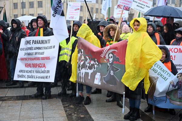 Несмотря на плохую погоду, на митинг против проводимой властями политики в области сельского хозяйства собралось немало людей. - Sputnik Литва