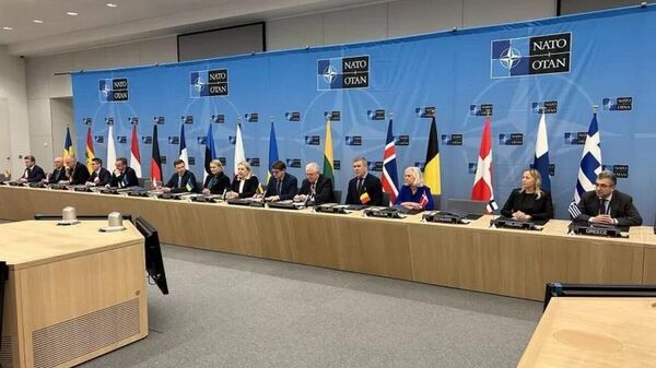 Заседание по созданию инициированной Литвой коалиции по разминированию на Украине  - Sputnik Литва