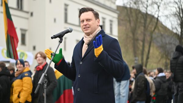 Мэр Вильнюса Валдас Бенкунскас  - Sputnik Литва