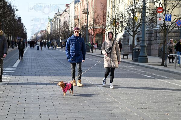 На фото: жительница Вильнюса прогуливается со своим питомцем. - Sputnik Литва