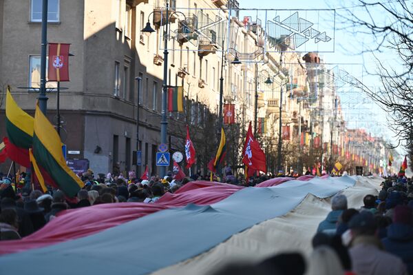 Участники пронесли огромный литовский флаг, а также другую государственную символику. - Sputnik Литва