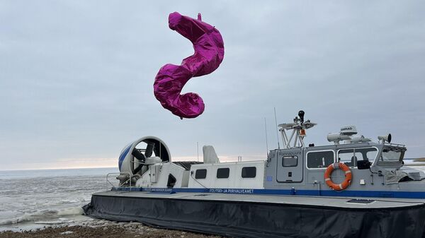 Надувной морской конек, задержанный в Эстонии за незаконное пересечение границы с РФ - Sputnik Литва