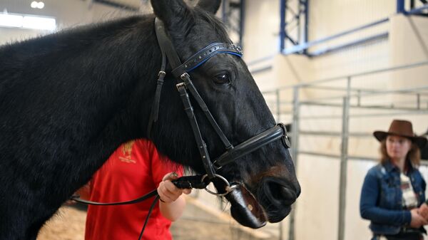 Международная выставка лошадей в Вильнюсе - Sputnik Литва