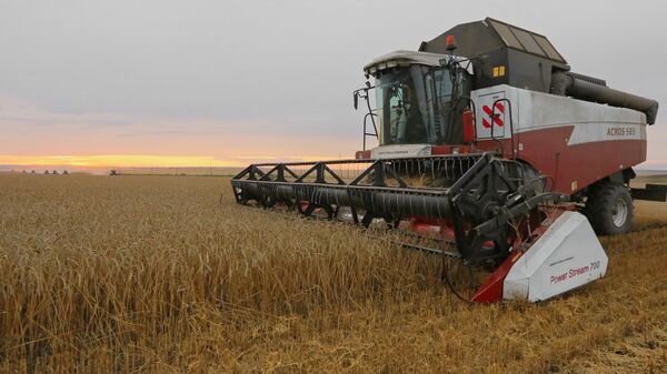 Уборка урожая пшеницы в Красноярском крае - Sputnik Литва
