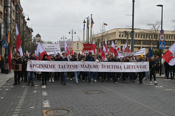 На фото: люди несут растяжку с надписью: &quot;Защитим образование национальных меньшинств в Литве&quot;. - Sputnik Литва