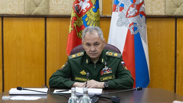 Министр обороны России Сергей Шойгу  - Sputnik Литва